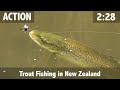 Trout Fishing in New Zealand