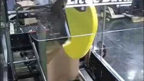 Little David LD-16A Automatic Uniform Case Sealer | ProPac.com