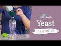 Yeast Experiment Quiz
