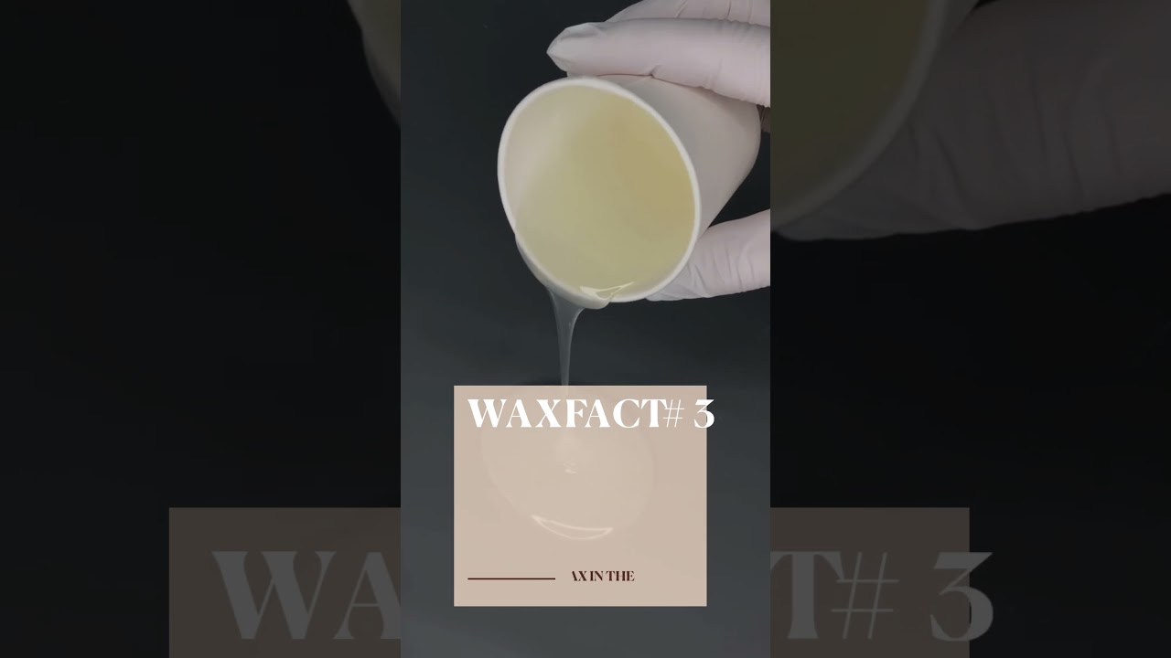 Nachhaltiges Waxing bei Wax in the City | Unsere Verpflichtung zur Umwelt