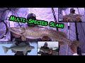 Ice Fishing Northern Manitoba | Multi-Species SLAM!