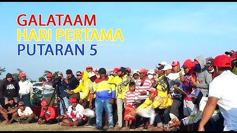 Lomba Merpati Balap Probolinggo 2020