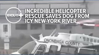 Incredible helicopter rescue saves dog from icy New York river