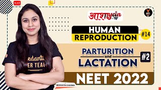 Human Reproduction Class 12 14 | Parturition and Lactation Part 2 | NEET 2022 | NEET Biology