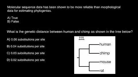 How to understand phylogenetic trees