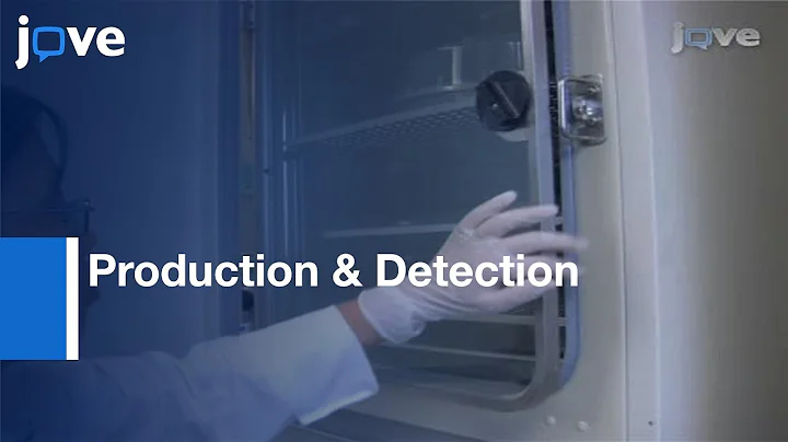 Production & Detection Of Reactive Oxygen Species (ROS) In Cancers l Protocol Preview