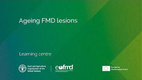 Ageing FMD lesions - the basics