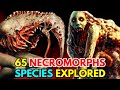 65 Brutally Grotesque Necromorph Species - Backstories And Anatomical Information - Explored