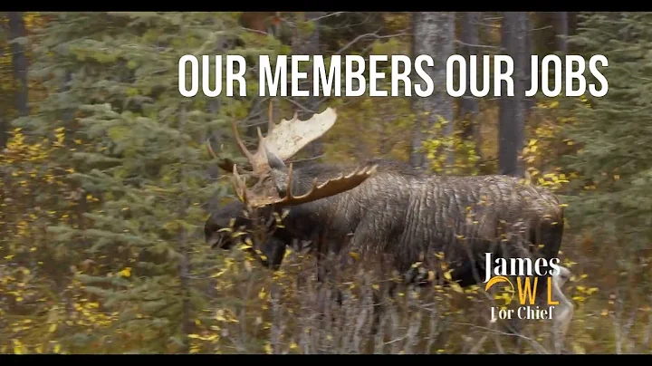 2025 Campaign Launch James Owl