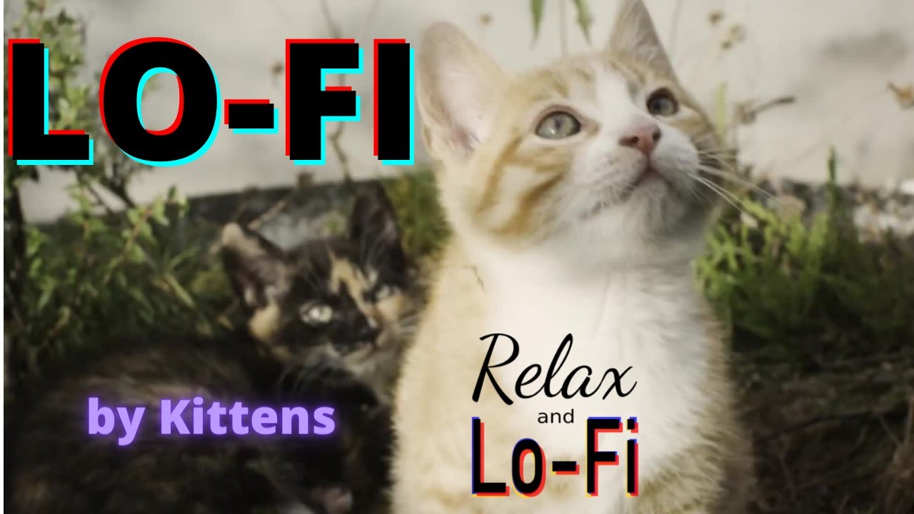 Lo Fi Electronic Music To Chill Study And Relax YouTube lo-fi-electronic-music-to-chill-study-and-relax-youtube