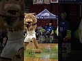 most powerful mascot 🤔