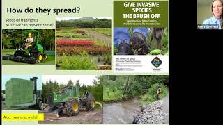 Invasive Plant Ecology and Identification