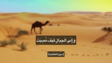 افلا ينظرون إلى الإبل كيف خلقت (سورة الغاشية) #القرآن_الكريم #المسلمين