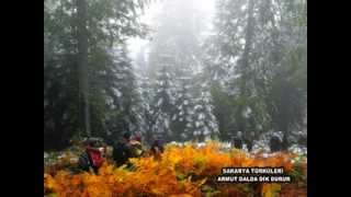 SAKARYA TÜRKÜLERİ - ARMUT DALDA DİK DURUR Resimi