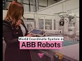 World Coordinate System in ABB Robots