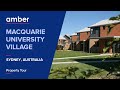 Macquarie University Village | Best Student Accommodation in Sydney | Australia | amber