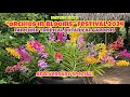 Orchids in bloom fest at fairchild tropical botanical garden celebrating my 3 yrs of my channel