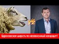 Едросовская шерсть vs независимый кандидат!