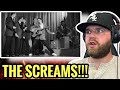 Industry Ghostwriter Reacts To Elvis Presley Hound Dog October 28 1956 The Ed Sullivan Show