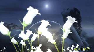 Watch Il Divo Lalba Del Mondo video