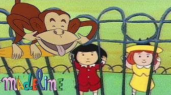 Madeline's Birthday At The Zoo | Madeline - WildBrain | Movies for Kids