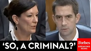 'What Is A Justice-Involved Individual?': Tom Cotton Grills Top Prison Official About Semantics