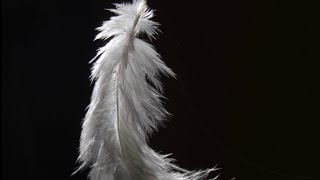 Download Lagu Channelled messages from your person 📩❤️ MP3