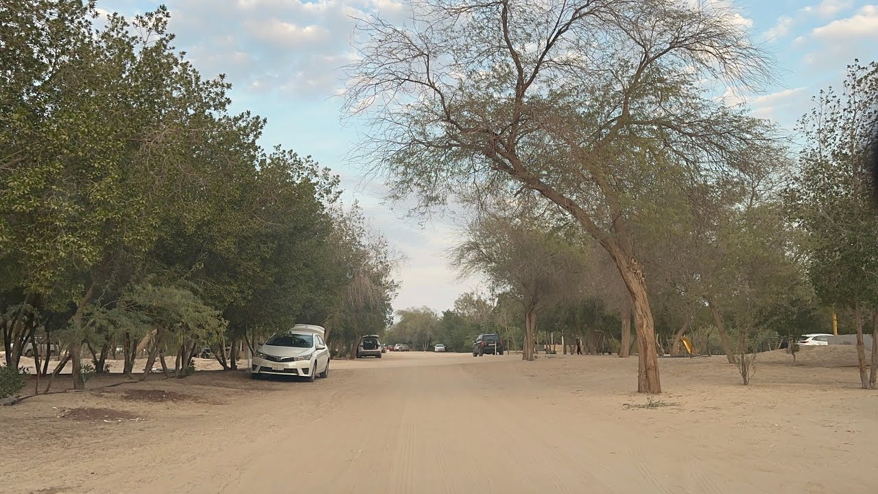 منتزه الاحساء الوطني/ مشروع حجز الرمال بمدينة العمران في الاحساء