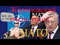 Жириновский, Россия должна вступить в НАТО