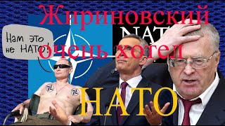 Жириновский, Россия должна вступить в НАТО