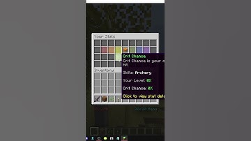 Wie man /stats und STATS in Minecraft mit Aurelium Skills versteht