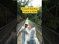 Exploring Kaveri Bamboo Forest view | Nature Walk in Coorg