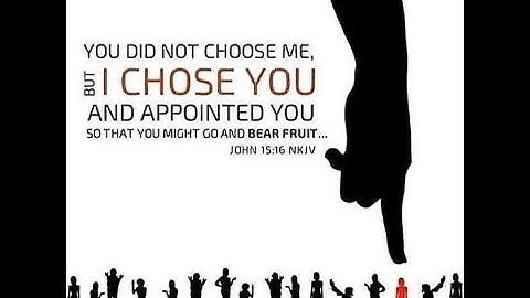 Unconditional Election: TULIP Series Part 2