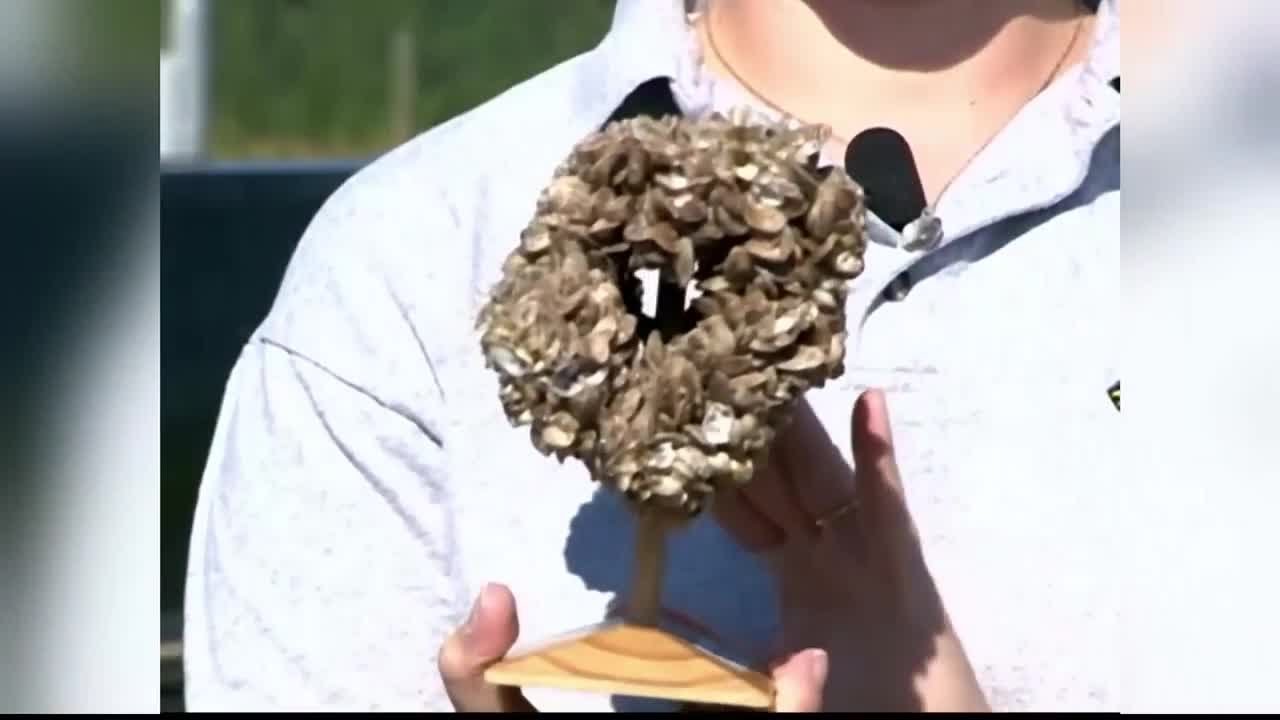 Invasive species found at FWP watercraft inspection station