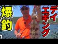 爆乗せ日中エギング~デイゲームの極意ここにあり!~杉原正浩