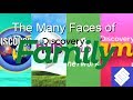 The many faces of discovery family