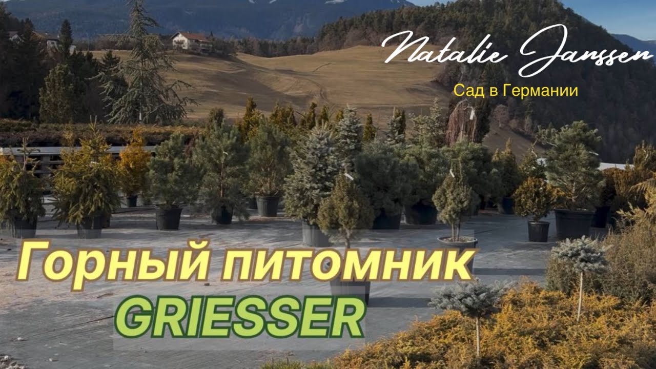 Обзор садового центра в Италии 🌿Süd Tirol 🌿Ассортимент хвойных и декор 🌿