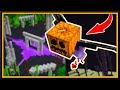 Hermitcraft S7 Episode 4:  Pumpkin BROS Adventure!