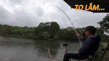 3 pha đóng cá Max phê - Câu cá trong bão số 1 - Gặp ngày cá cuốn ổ | 16-6-2025