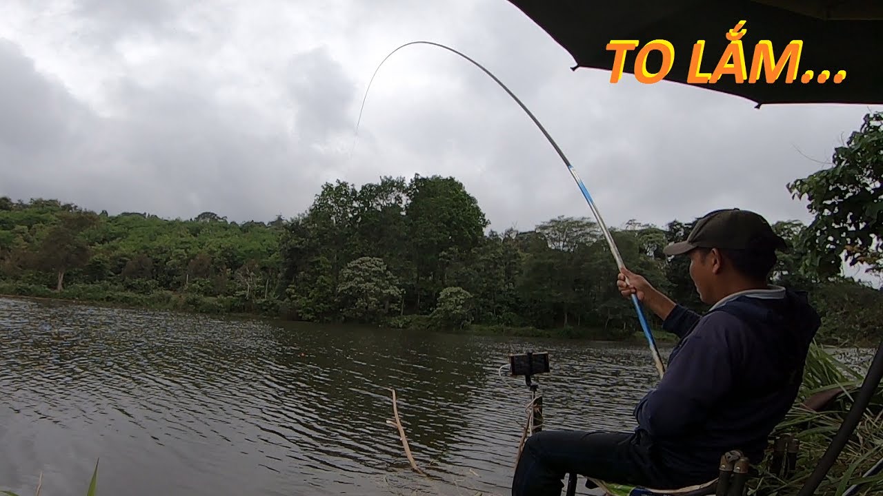 3 pha đóng cá Max phê - Câu cá trong bão số 1 - Gặp ngày cá cuốn ổ | 16-6-2025