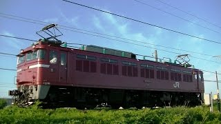 EF81-141 ばんえつ物語号回送牽引用 単8423レ 信越本線