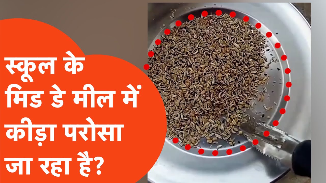 Gorakhpur News: अगर वीडियो न बनता तो क्या बच्चे कीड़े वाला खाना खाते?