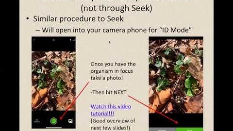 Part 3: Introduction to iNaturalist: Become a Citizen Scientist!
