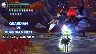 Guardian solo on Guardian Nest LB 50 Dragon Nest 2020 screenshot 4