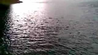 Shing Mun fishing 20100211_WMV V9.wmv