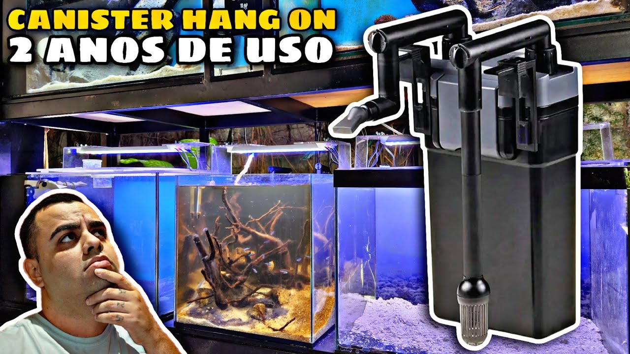 FILTRO CANISTER HANG ON DA SUNSUN APÓS 2 ANOS DE USO