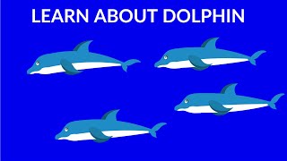 Interesting facts about dolphins || Dolphins video for kids