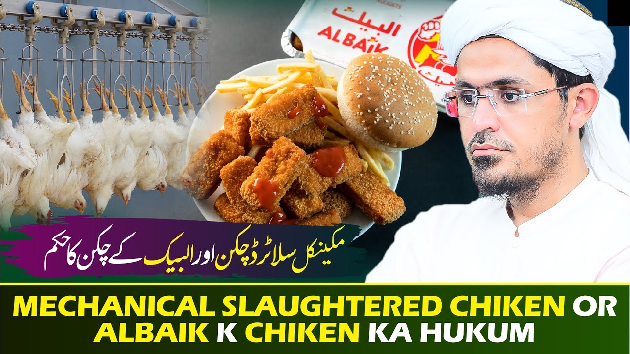 Mechanical Slaughtered Chicken or Albaik k Chicken Ka Hukum | Must ...