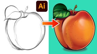 Adobe Illustrator Tutorial: Vector Peach from Sketch 2023