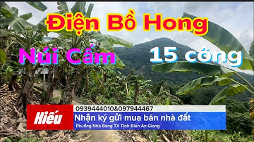 Tập 276 Núi Cấm điện Bồ Hong 15 công đất chủ cần bán